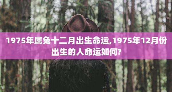 1975年属兔十二月出生命运,1975年12月份出生的人命运如何?