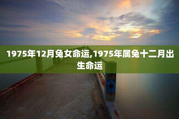 1975年12月兔女命运,1975年属兔十二月出生命运