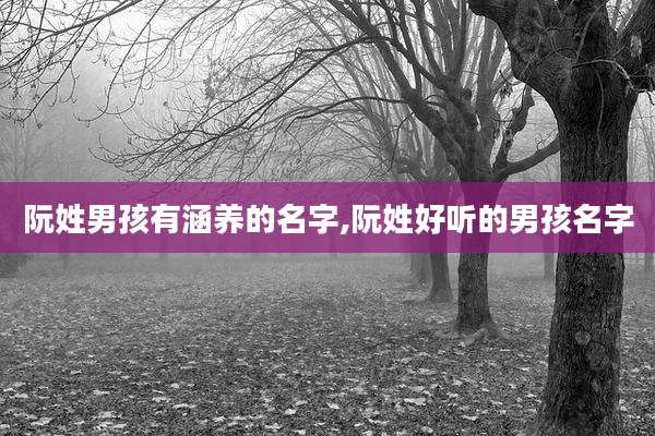 阮姓男孩有涵养的名字,阮姓好听的男孩名字