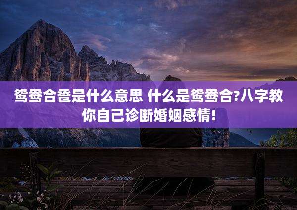 鸳鸯合卺是什么意思 什么是鸳鸯合?八字教你自己诊断婚姻感情!