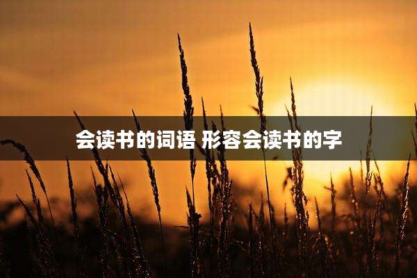 会读书的词语 形容会读书的字