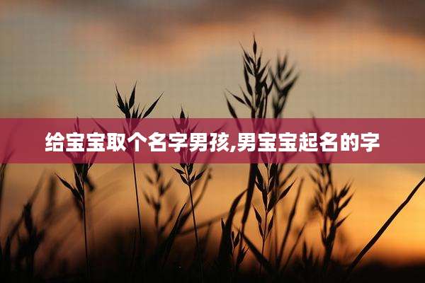 给宝宝取个名字男孩,男宝宝起名的字
