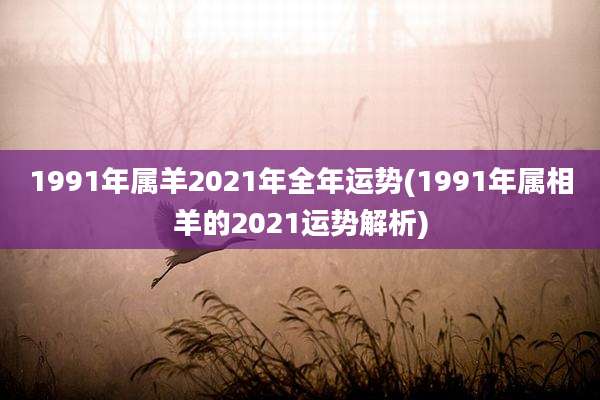 1991年属羊2021年全年运势(1991年属相羊的2021运势解析)