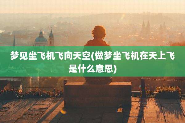梦见坐飞机飞向天空(做梦坐飞机在天上飞是什么意思)
