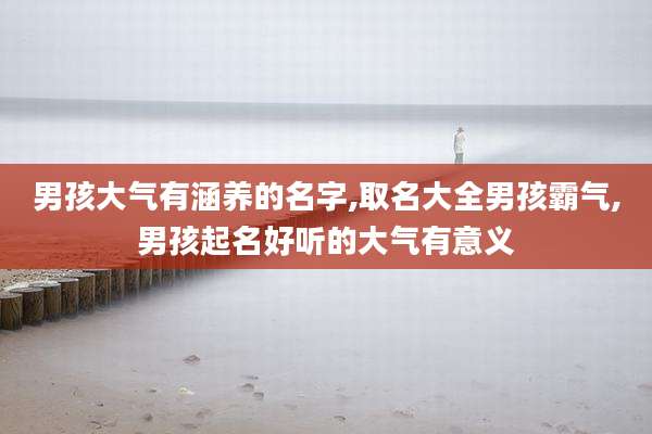 男孩大气有涵养的名字,取名大全男孩霸气,男孩起名好听的大气有意义