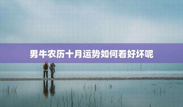 男牛农历十月运势如何看好坏呢