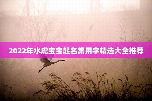 2022年水虎宝宝起名常用字精选大全推荐