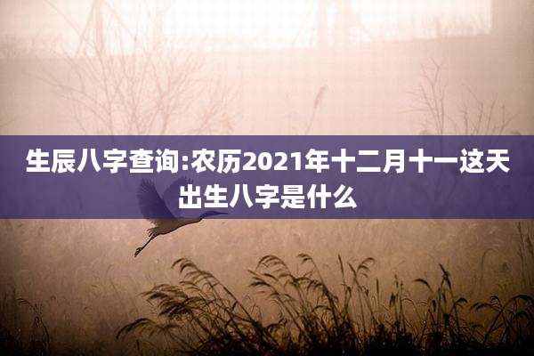 生辰八字查询:农历2021年十二月十一这天出生八字是什么