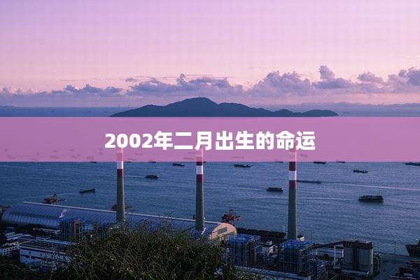 2002年二月出生的命运