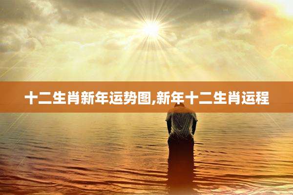 十二生肖新年运势图,新年十二生肖运程