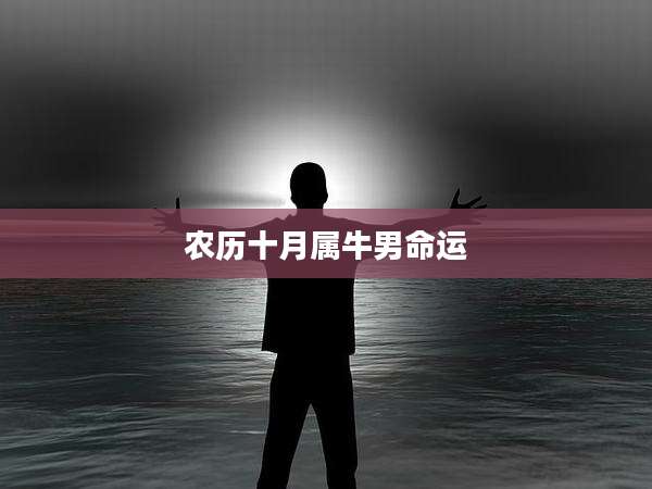 农历十月属牛男命运
