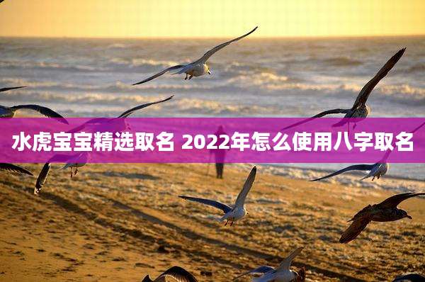 水虎宝宝精选取名 2022年怎么使用八字取名