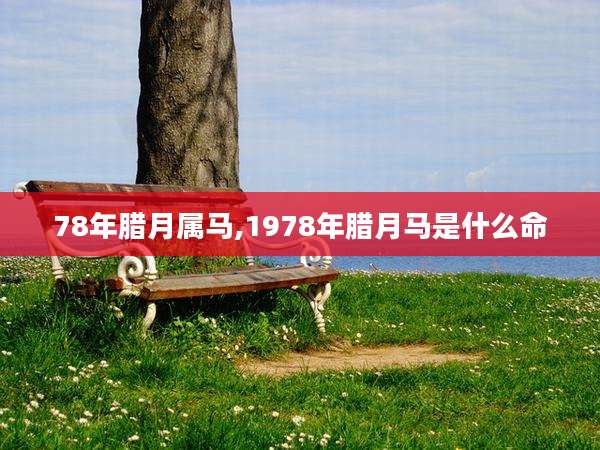 78年腊月属马,1978年腊月马是什么命
