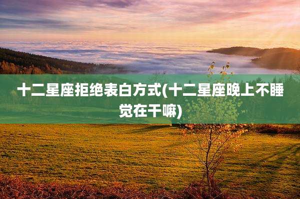 十二星座拒绝表白方式(十二星座晚上不睡觉在干嘛)