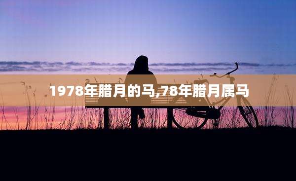 1978年腊月的马,78年腊月属马
