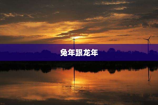 兔年跟龙年