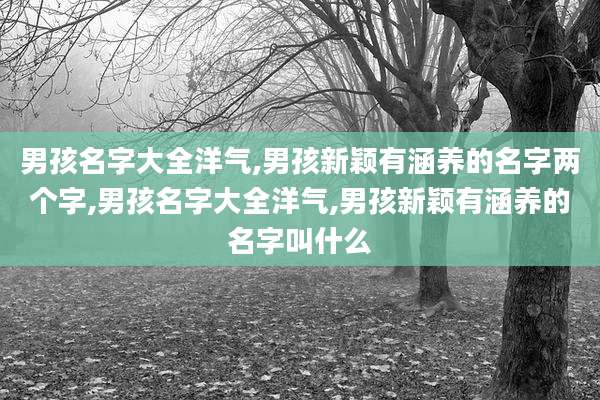 男孩名字大全洋气,男孩新颖有涵养的名字两个字,男孩名字大全洋气,男孩新颖有涵养的名字叫什么