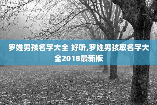 罗姓男孩名字大全 好听,罗姓男孩取名字大全2018最新版