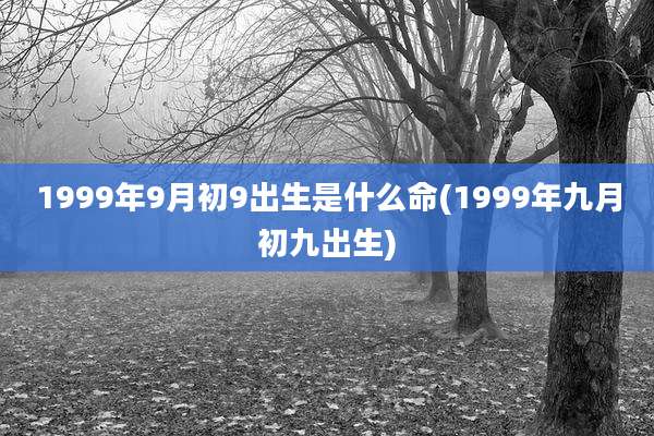 1999年9月初9出生是什么命(1999年九月初九出生)