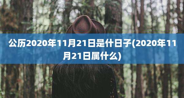 公历2020年11月21日是什日子(2020年11月21日属什么)