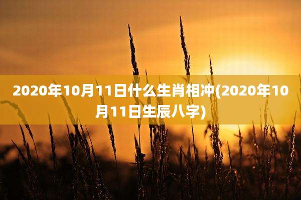 2020年10月11日什么生肖相冲(2020年10月11日生辰八字)