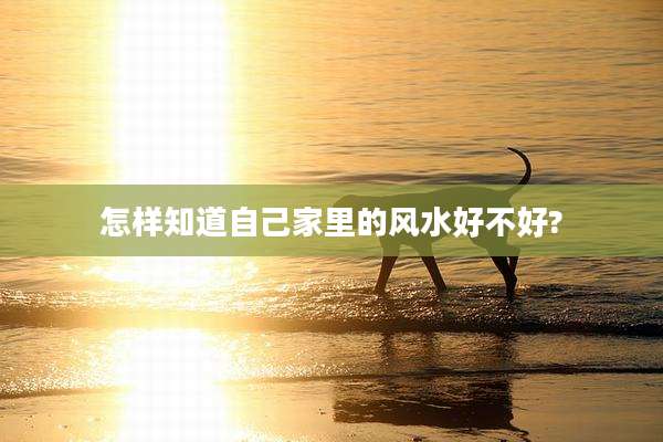 怎样知道自己家里的风水好不好?