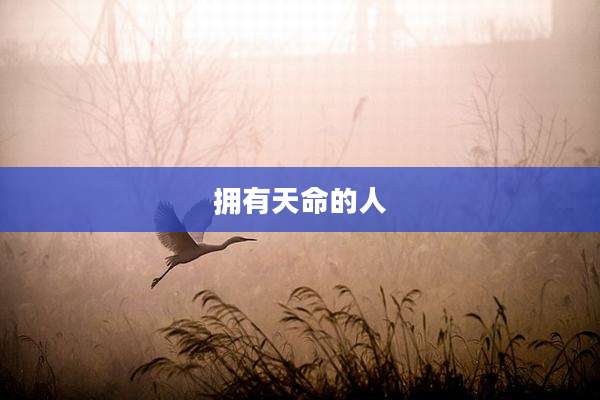 拥有天命的人