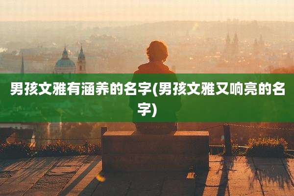 男孩文雅有涵养的名字(男孩文雅又响亮的名字)