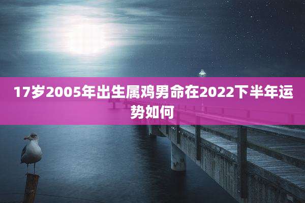 17岁2005年出生属鸡男命在2022下半年运势如何