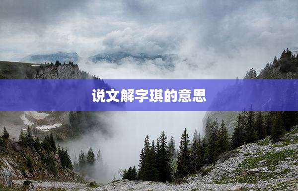 说文解字琪的意思