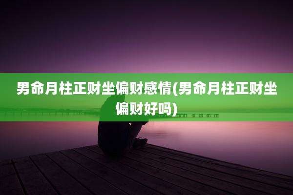 男命月柱正财坐偏财感情(男命月柱正财坐偏财好吗)