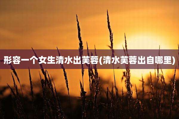 形容一个女生清水出芙蓉(清水芙蓉出自哪里)