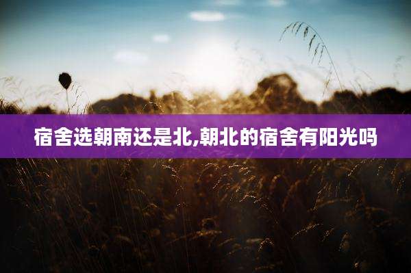 宿舍选朝南还是北,朝北的宿舍有阳光吗