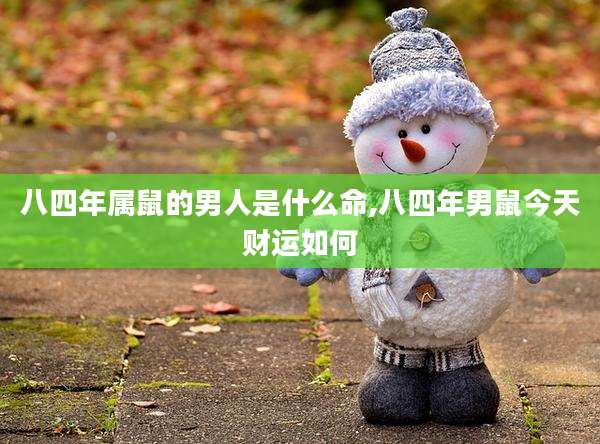 八四年属鼠的男人是什么命,八四年男鼠今天财运如何