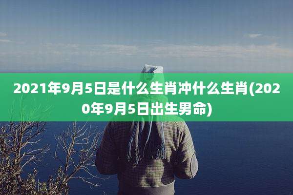 2021年9月5日是什么生肖冲什么生肖(2020年9月5日出生男命)