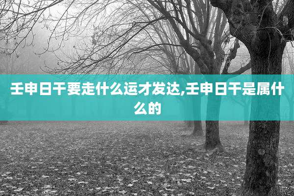 壬申日干要走什么运才发达,壬申日干是属什么的