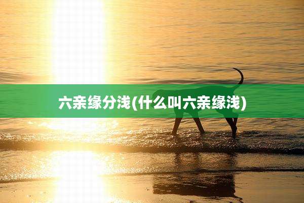 六亲缘分浅(什么叫六亲缘浅)