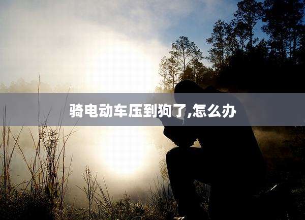 骑电动车压到狗了,怎么办