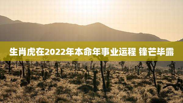 生肖虎在2022年本命年事业运程 锋芒毕露