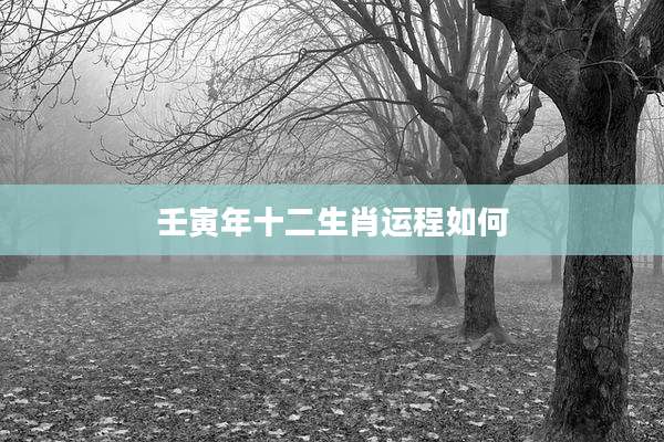 壬寅年十二生肖运程如何