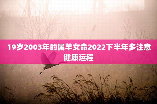 19岁2003年的属羊女命2022下半年多注意健康运程