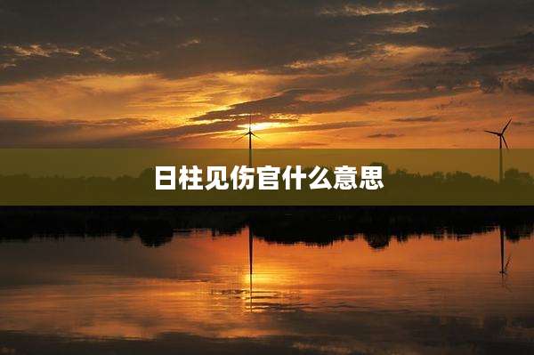 日柱见伤官什么意思