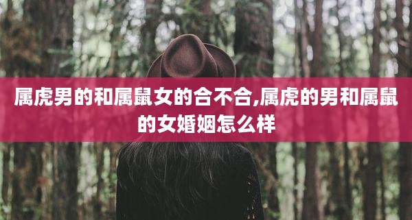 属虎男的和属鼠女的合不合,属虎的男和属鼠的女婚姻怎么样