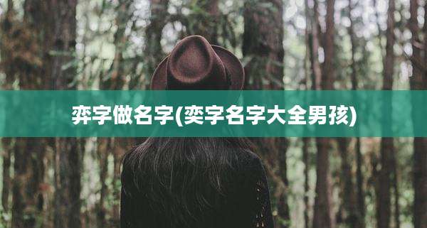 弈字做名字(奕字名字大全男孩)