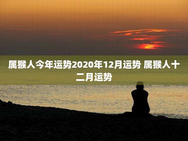 属猴人今年运势2020年12月运势 属猴人十二月运势