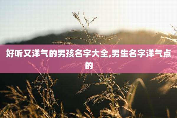 好听又洋气的男孩名字大全,男生名字洋气点的