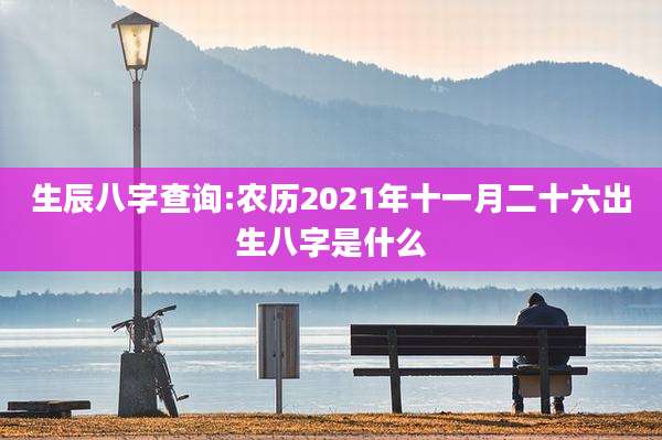 生辰八字查询:农历2021年十一月二十六出生八字是什么