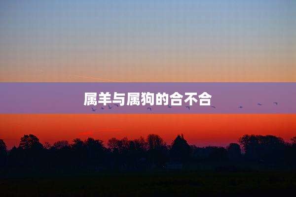 属羊与属狗的合不合