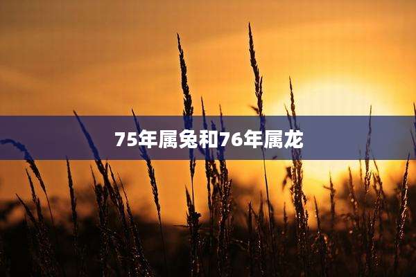 75年属兔和76年属龙