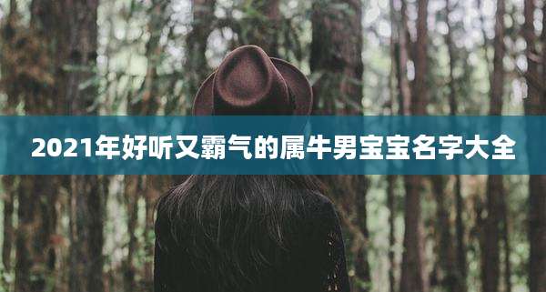 2021年好听又霸气的属牛男宝宝名字大全